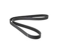 HUTCHINSON 1061 SK 6 Cinghia servizi