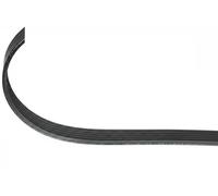 Cinghia trapezoidale multirighe EPDM (Etilene-Propilene-Diene-Caucciù) 109 643