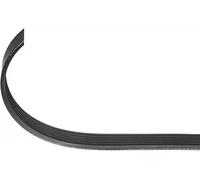 Cinghia trapezoidale multirighe EPDM (Etilene-Propilene-Diene-Caucciù) 109 868