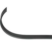 Cinghia trapezoidale multirighe EPDM (Etilene-Propilene-Diene-Caucciù) 110 859