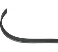 Cinghia trapezoidale multirighe EPDM (Etilene-Propilene-Diene-Caucciù) 111 859