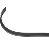 Cinghia trapezoidale multirighe EPDM (Etilene-Propilene-Diene-Caucciù) 113 497