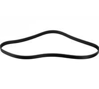 FEBI BILSTEIN 176582 Cinghia servizi