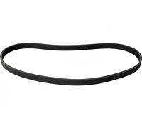 FEBI BILSTEIN Cinghia servizi 177989 trapezoidale multirighe EPDM