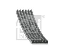 Cinghia trapezoidale multirighe EPDM (Etilene-Propilene-Diene-Caucciù) 181311