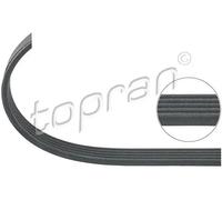 Cinghia trapezoidale multirighe EPDM (Etilene-Propilene-Diene-Caucciù) 202 334