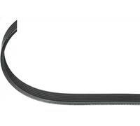 Cinghia trapezoidale multirighe EPDM (Etilene-Propilene-Diene-Caucciù) 206 251