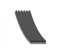 FEBI BILSTEIN Cinghia servizi 28924 Poly-V EPDM per Audi Mercedes Benz Seat VW