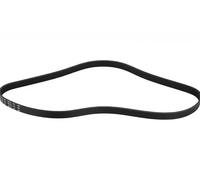 FEBI BILSTEIN Cinghia Poly-V 28930