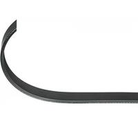 Cinghia trapezoidale multirighe EPDM (Etilene-Propilene-Diene-Caucciù) 300 923
