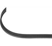 Cinghia trapezoidale multirighe EPDM (Etilene-Propilene-Diene-Caucciù) 301 079