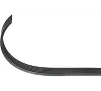 Cinghia trapezoidale multirighe EPDM (Etilene-Propilene-Diene-Caucciù) 302 093
