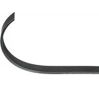 Cinghia trapezoidale multirighe EPDM (Etilene-Propilene-Diene-Caucciù) 304 098