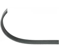 Cinghia trapezoidale multirighe EPDM (Etilene-Propilene-Diene-Caucciù) 500 683