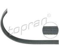 Cinghia trapezoidale multirighe EPDM (Etilene-Propilene-Diene-Caucciù) 500 689