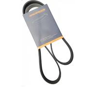 Cinghia trapezoidale multirighe EPDM (Etilene-Propilene-Diene-Caucciù) 5PK1370