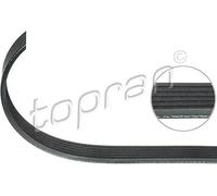 Cinghia trapezoidale multirighe EPDM (Etilene-Propilene-Diene-Caucciù) 701 186
