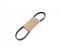 Cinghia trapezoidale multirighe EPDM (Etilene-Propilene-Diene-Caucciù) 7014018