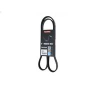 Cinghia trapezoidale multirighe EPDM (Etilene-Propilene-Diene-Caucciù) 7015057