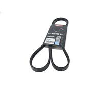 Cinghia trapezoidale multirighe EPDM (Etilene-Propilene-Diene-Caucciù) 7015062