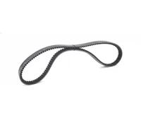 Cinghia trapezoidale multirighe EPDM (Etilene-Propilene-Diene-Caucciù) 7015083