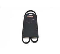 Cinghia trapezoidale multirighe EPDM (Etilene-Propilene-Diene-Caucciù) 7016018