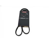 Cinghia trapezoidale multirighe EPDM (Etilene-Propilene-Diene-Caucciù) 7016044