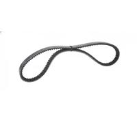 Cinghia trapezoidale multirighe EPDM (Etilene-Propilene-Diene-Caucciù) 7016071