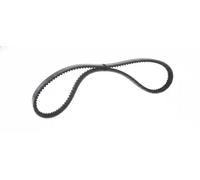 Cinghia trapezoidale multirighe EPDM (Etilene-Propilene-Diene-Caucciù) 7016085