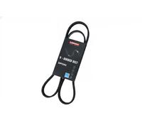 Cinghia trapezoidale multirighe EPDM (Etilene-Propilene-Diene-Caucciù) 7016090
