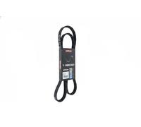 Cinghia trapezoidale multirighe EPDM (Etilene-Propilene-Diene-Caucciù) 7016104