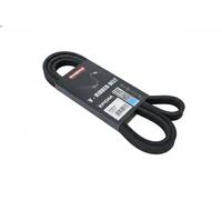 Cinghia trapezoidale multirighe EPDM (Etilene-Propilene-Diene-Caucciù) 7016143