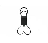 Cinghia trapezoidale multirighe EPDM (Etilene-Propilene-Diene-Caucciù) 7016153