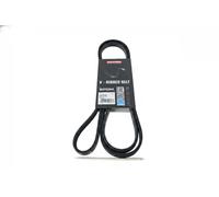 Cinghia trapezoidale multirighe EPDM (Etilene-Propilene-Diene-Caucciù) 7016164