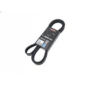 Cinghia trapezoidale multirighe EPDM (Etilene-Propilene-Diene-Caucciù) 7016189