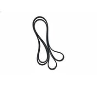 Cinghia trapezoidale multirighe EPDM (Etilene-Propilene-Diene-Caucciù) 7016191