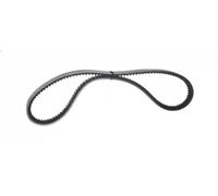 Cinghia trapezoidale multirighe EPDM (Etilene-Propilene-Diene-Caucciù) 7016230