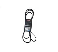 Cinghia trapezoidale multirighe EPDM (Etilene-Propilene-Diene-Caucciù) 7016232