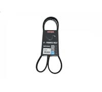 Cinghia trapezoidale multirighe EPDM (Etilene-Propilene-Diene-Caucciù) 7017012