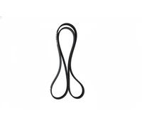 Cinghia trapezoidale multirighe EPDM (Etilene-Propilene-Diene-Caucciù) 7017015