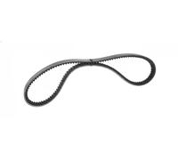 Cinghia trapezoidale multirighe EPDM (Etilene-Propilene-Diene-Caucciù) 7017027