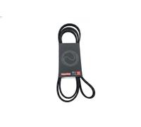 Cinghia trapezoidale multirighe EPDM (Etilene-Propilene-Diene-Caucciù) 7017036