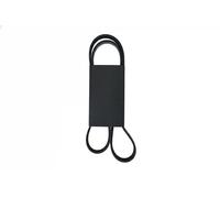 Cinghia trapezoidale multirighe EPDM (Etilene-Propilene-Diene-Caucciù) 7018002