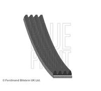 Cinghia trapezoidale multirighe EPDM (Etilene-Propilene-Diene-Caucciù) AD04R775
