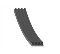 Blue Print Cinghia trapezoidale multirighe AD04R885 EPDM (Etilene-Propilene-Diene-Caucciù)