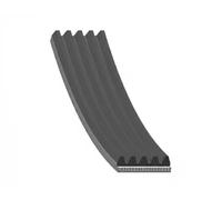 Cinghia trapezoidale multirighe EPDM (Etilene-Propilene-Diene-Caucciù) AD05R1800