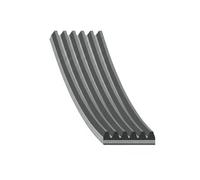 BLUE PRINT AD06R1210 Cinghia servizi