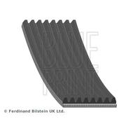 BLUE PRINT AD08R1295 Cinghia servizi