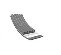 Meyle Cinghia servizi 050 005 1225 Poly-V EPDM multirighe