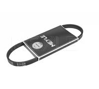 Originale MEYLE Cinghia Scanalata 050 004 0810 per Citroën Mazda Nissan Peugeot